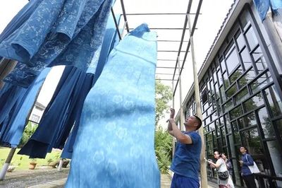 桐乡蓝印花布印染技艺 国家级非遗优秀保护实践的传承与创新